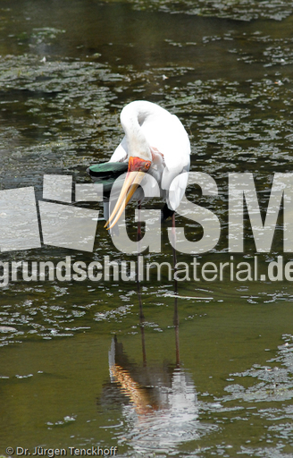 Nimmersatt (5 von 22).jpg